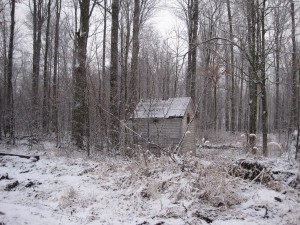 a shack in the Michigan Woods