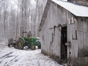 coming back in to the sugar shack