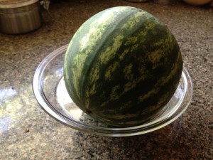 small watermelon to be cut up