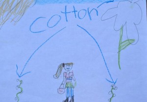 child's drawing of cotton plants