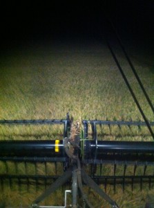 harvesting rice at night by Derek Welch in Louisiana